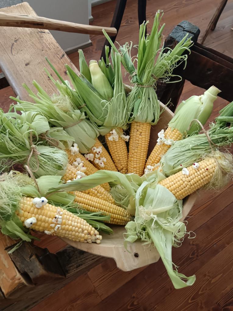 Fotografia z&nbsp;podujatia Hrsť plná kukurice